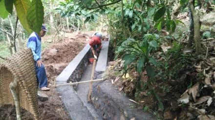 KEGIATAN P3TGAI DESA SUMBERBENING UNTUK PENINGKATAN PRODUKTIFITAS PADI